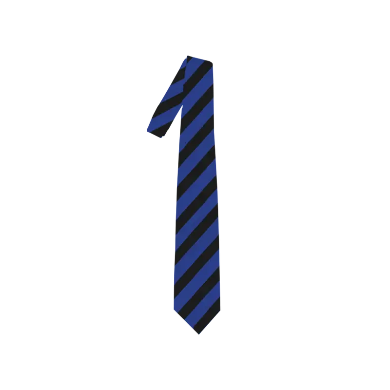 Black & Blue Striped Necktie Billie Eilish Merch