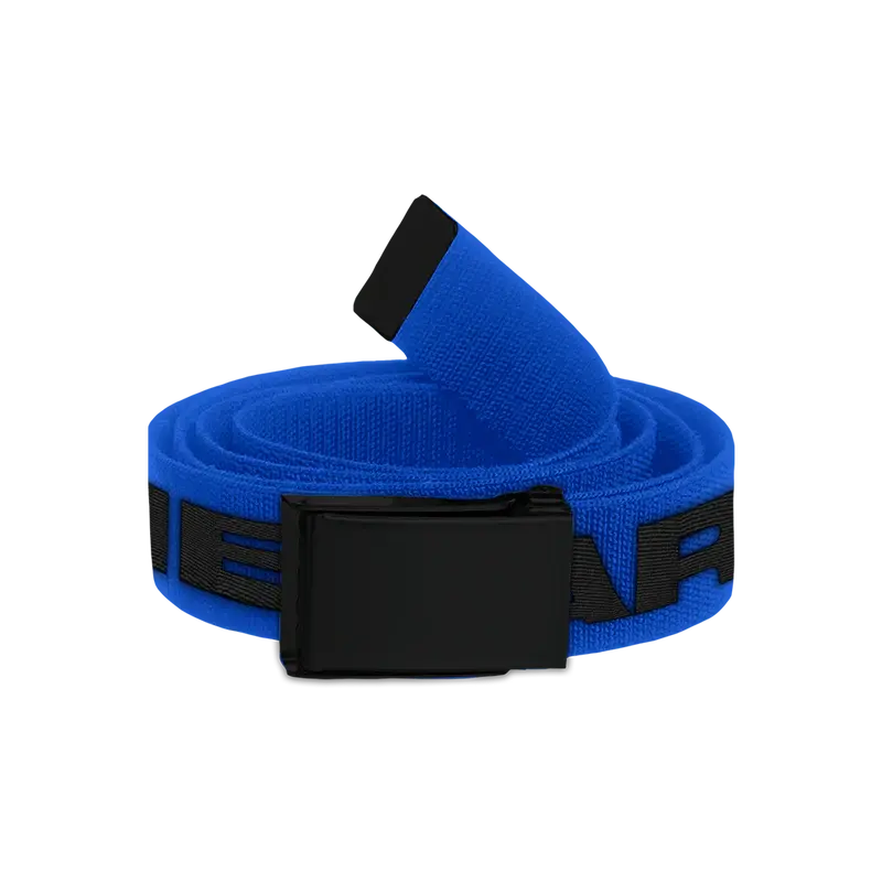 HIT ME HARD AND SOFT BLUE BELT Billie Eilish Merch