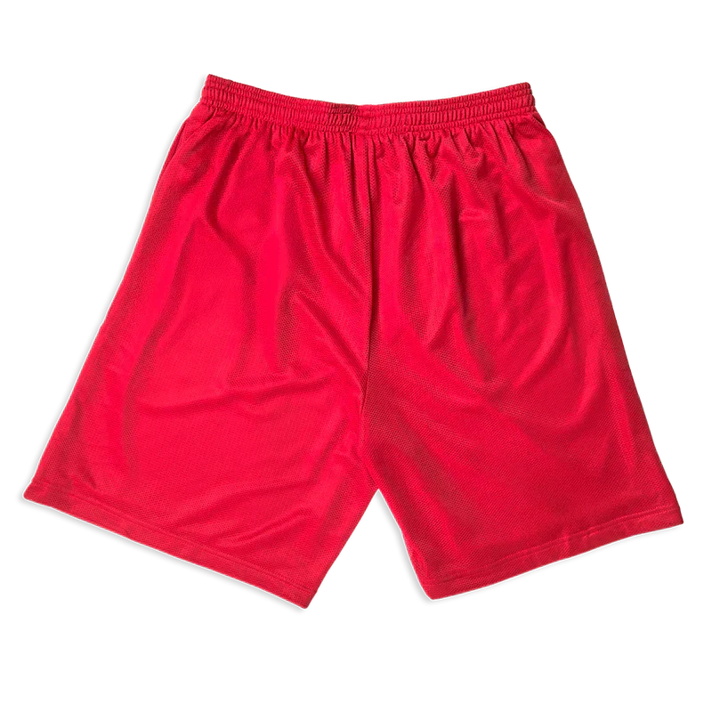 Hit Me Hard Mesh Shorts Billie Eilish Merch