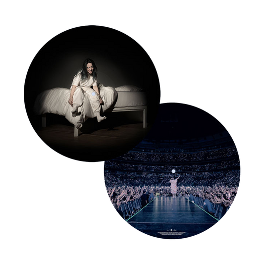 'WHEN WE ALL FALL ASLEEP, WHERE DO WE GO?' PICTURE DISC