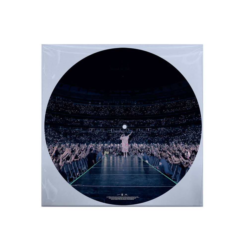 'WHEN WE ALL FALL ASLEEP, WHERE DO WE GO?' PICTURE DISC 3